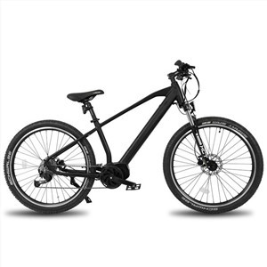 الیکٹرک مینز ماؤنٹین بائیک