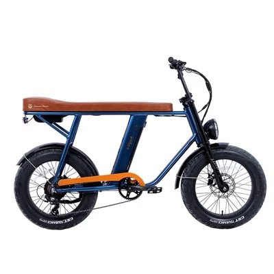 20" 48V 500W الائے Samsung Li-Ion Fat E-Bike