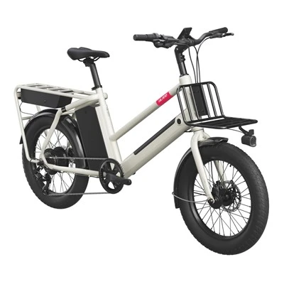 20" الائے ای کارگو بائیک